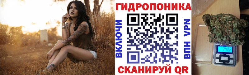 Каннабис план  продажа наркотиков  Борисоглебск 